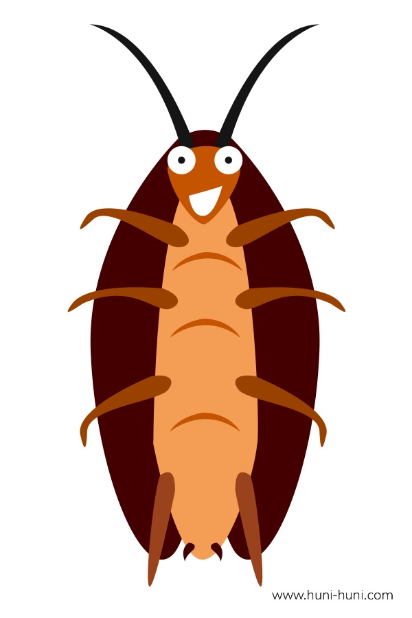 uk-ok cockroach colored flashcard clipart