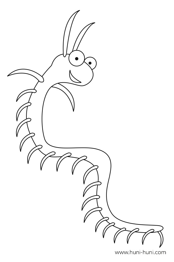 Aluhipan (Centipede) outline flashcard clipart coloring page