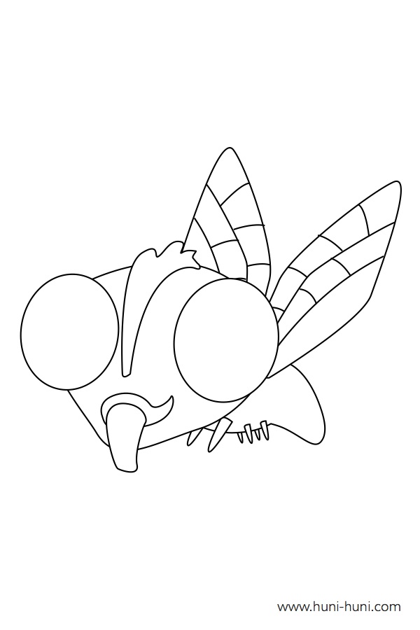 Langaw fly outline flashcard clipart coloring page