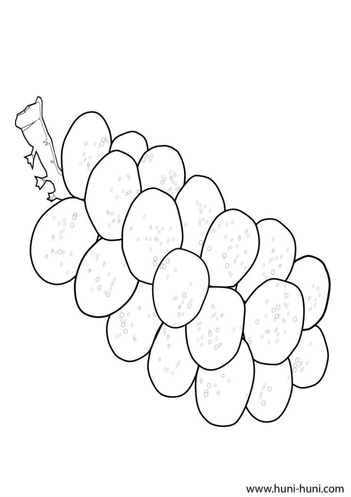 lanzones outline flashcard clipart coloring page