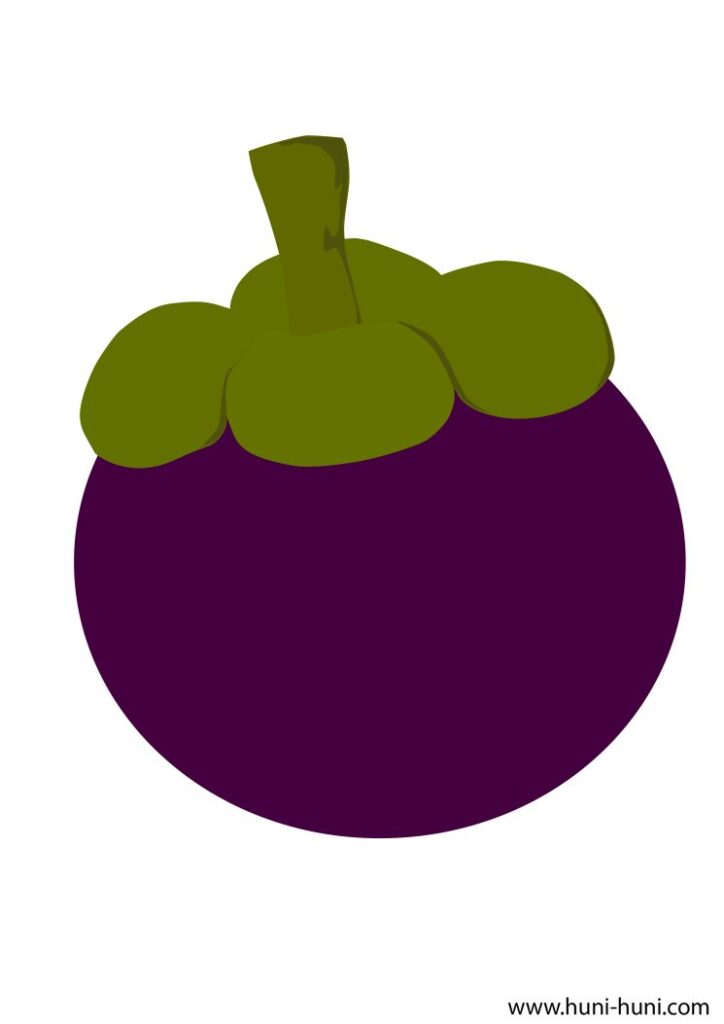 mangosteen colored flashcard clipart