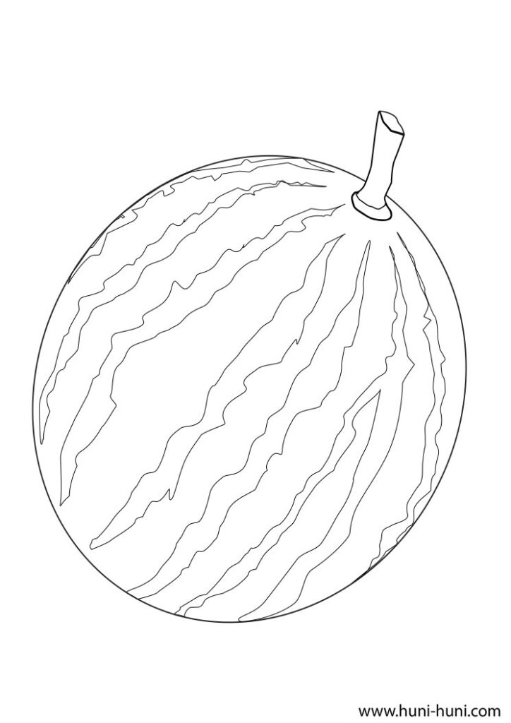 pakwan (watermelon) outline flashcard clipart coloring page