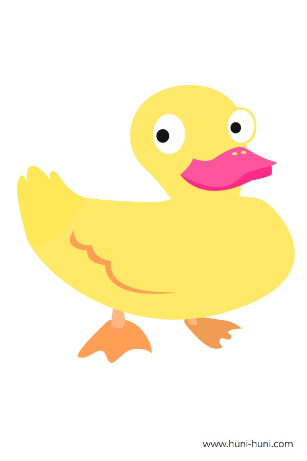 itik duck colored flashcard