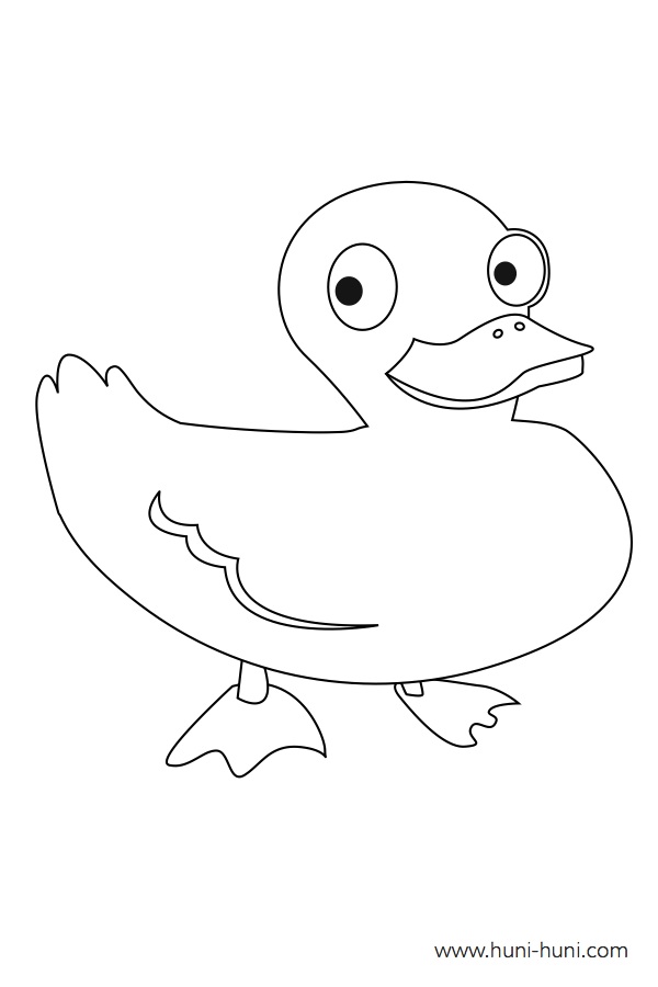 itik duck coloring activity outline