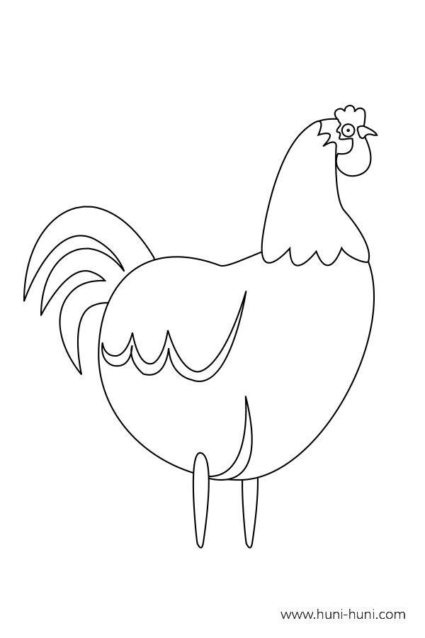 sunoy rooster coloring activity outline